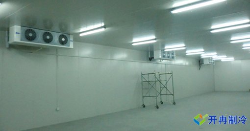 大型果蔬農產品物流冷庫，冷藏庫建造及運營成本預算